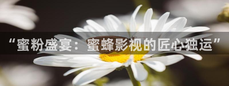 神马电影网第七影院